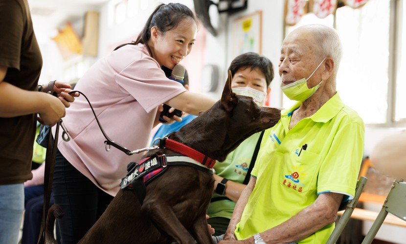 心輔犬的任務：用陪伴守護每一顆寂寞的心封面圖片