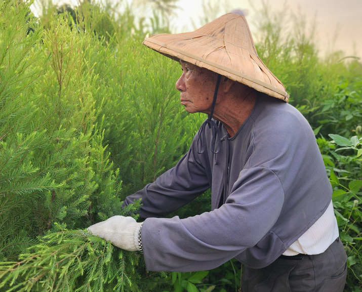 富里有人x土地工工：共學共耕 富裕偏鄉封面圖片